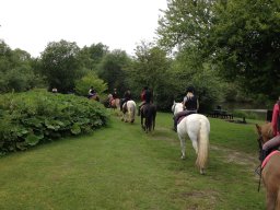 IMG_1025_web